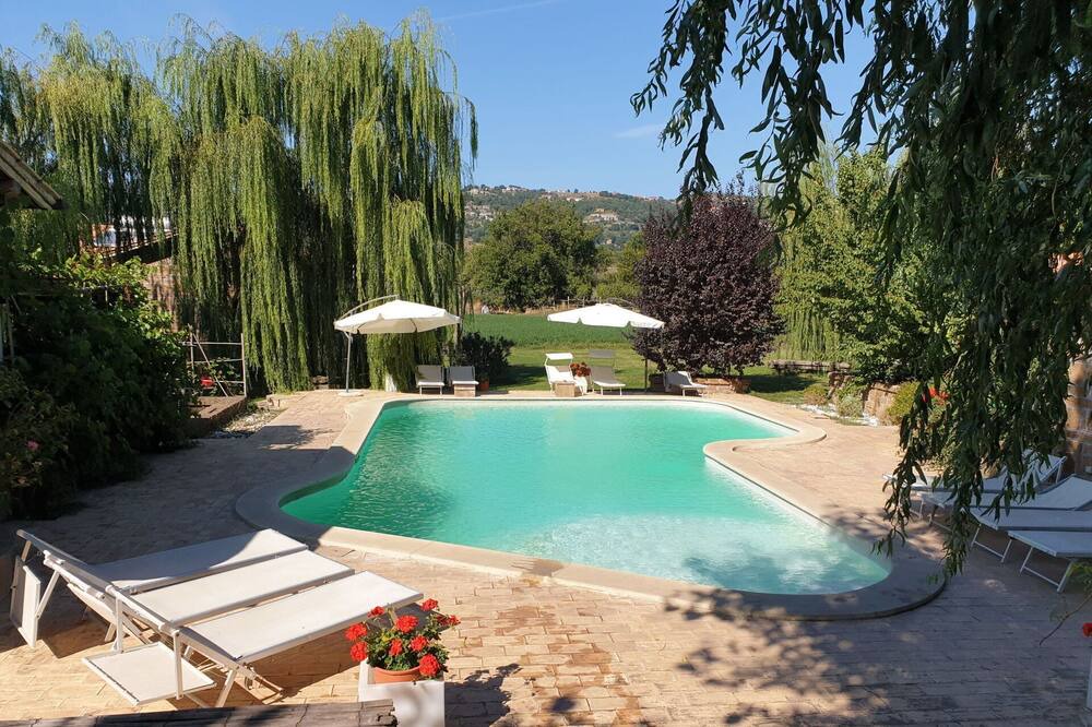 Photo of Outdoor in Montefiascone