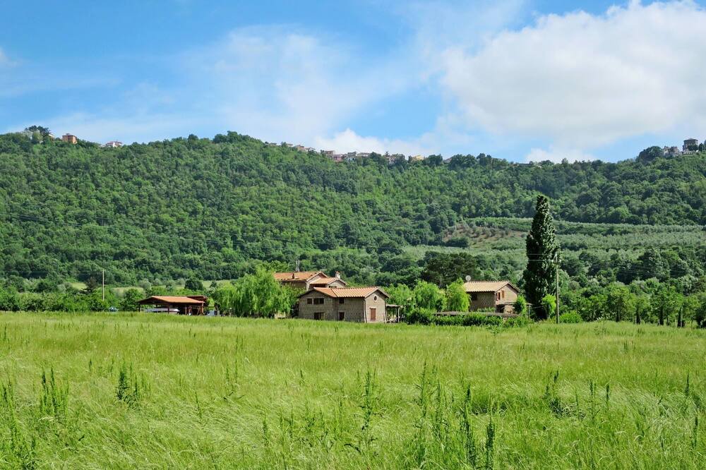 Photo of Others in Montefiascone