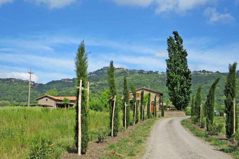 Photo of Others in Montefiascone