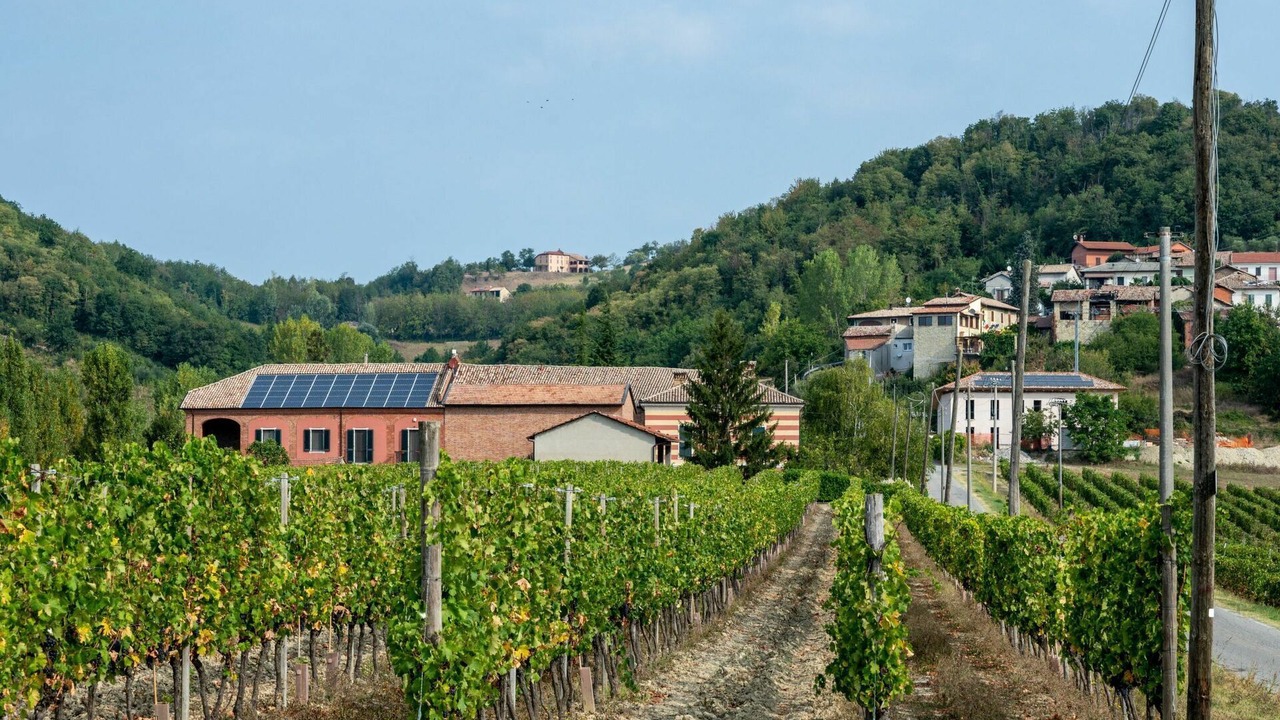 Photo of Others in Castelletto Merli