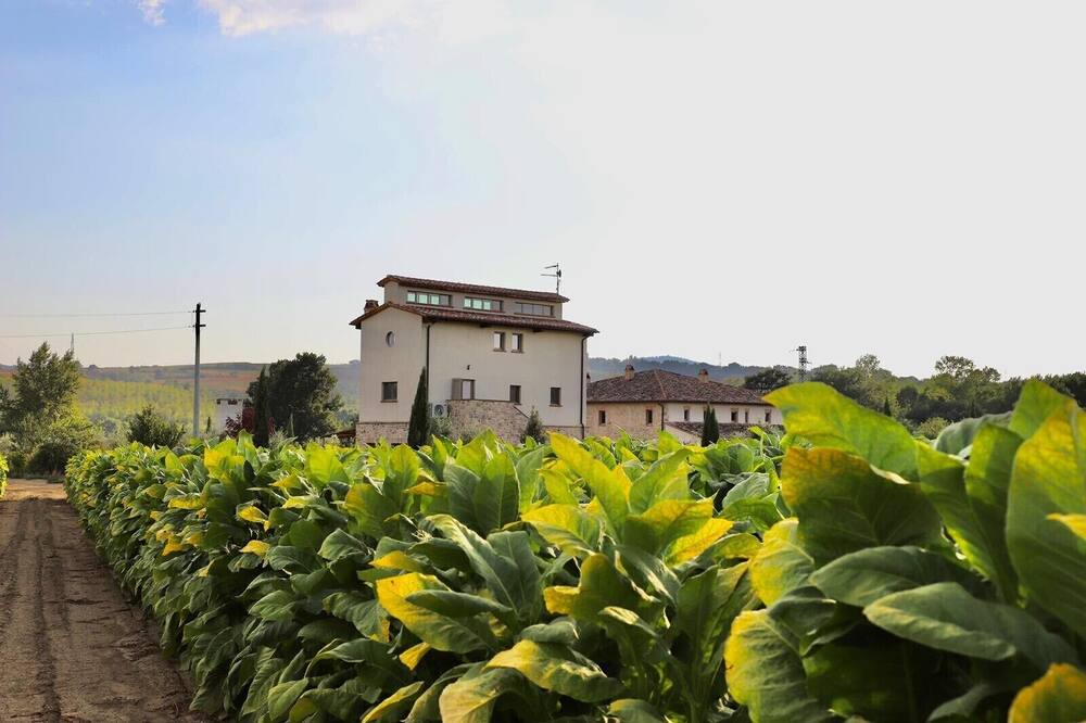 Photo of Outdoor in Marsciano