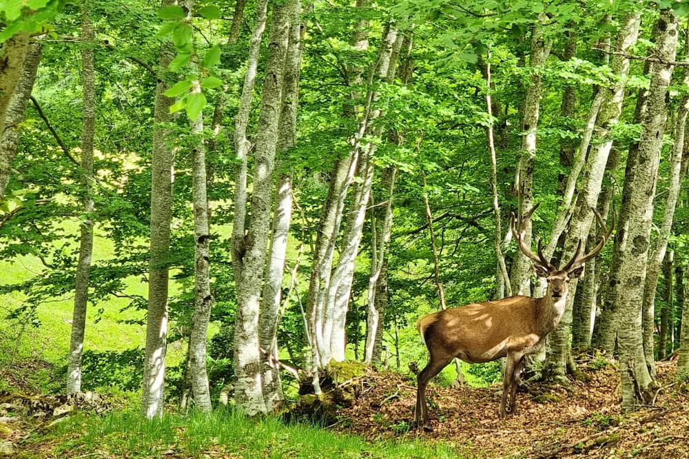 Photo of Others in Valle del Sole