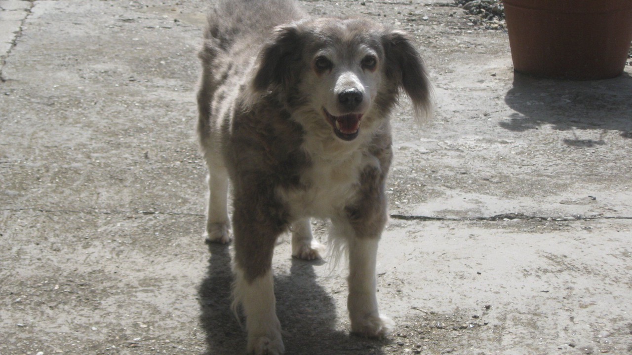 Photo of Others in Passerano Marmorito
