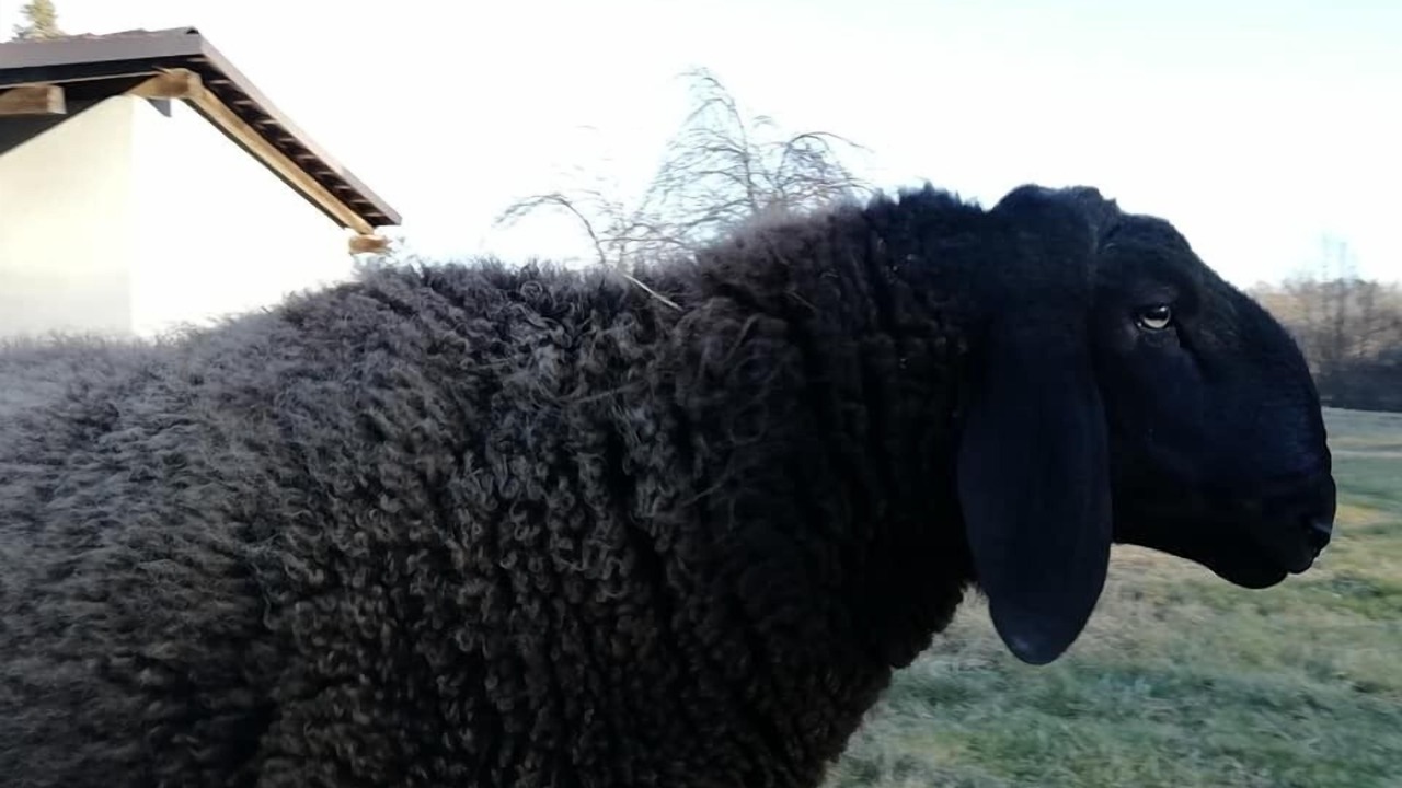 Photo of Others in Passerano Marmorito
