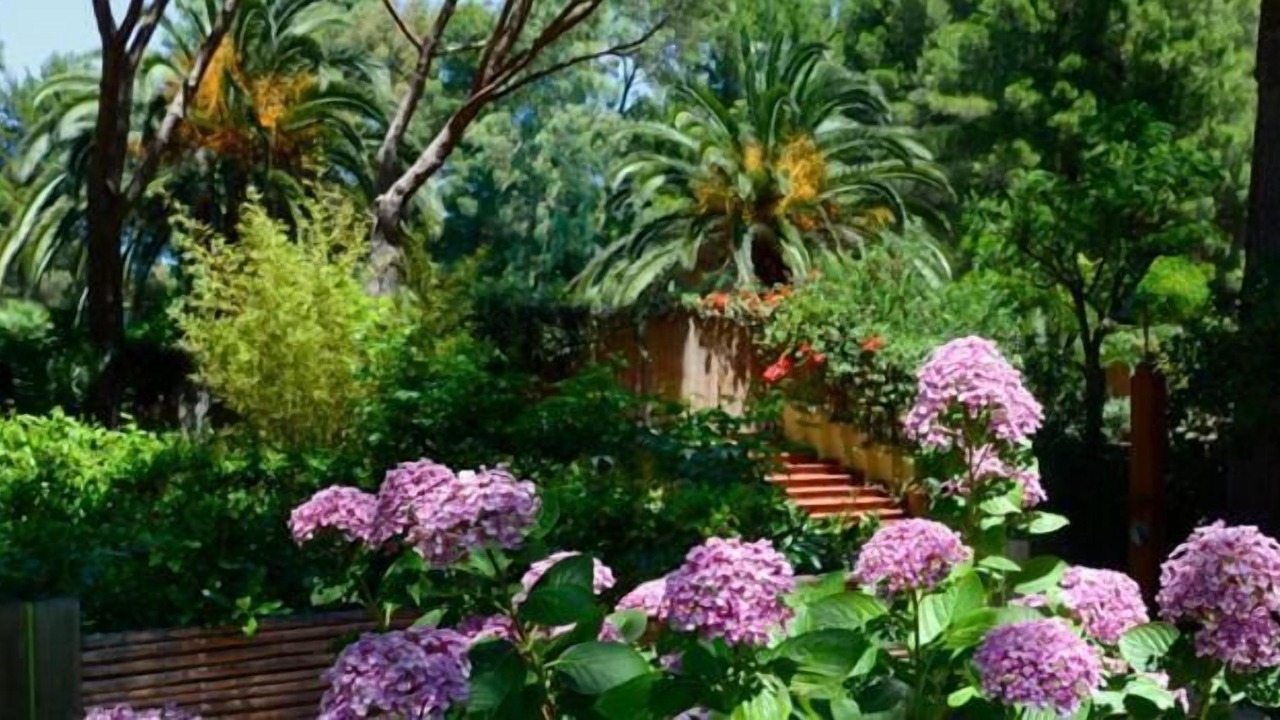 Photo of Outdoor in Santa Margherita di Pula