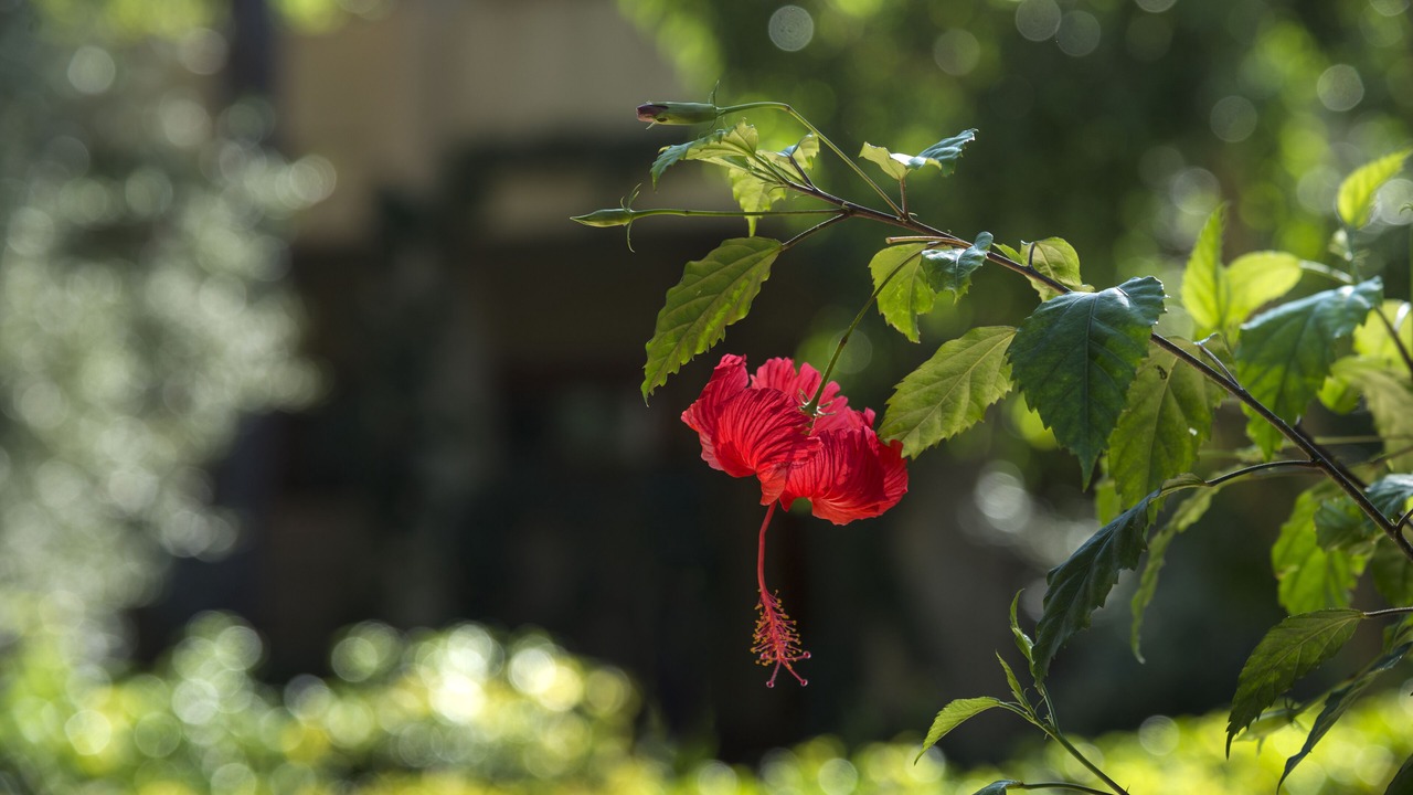 Photo of Outdoor in Santa Margherita di Pula