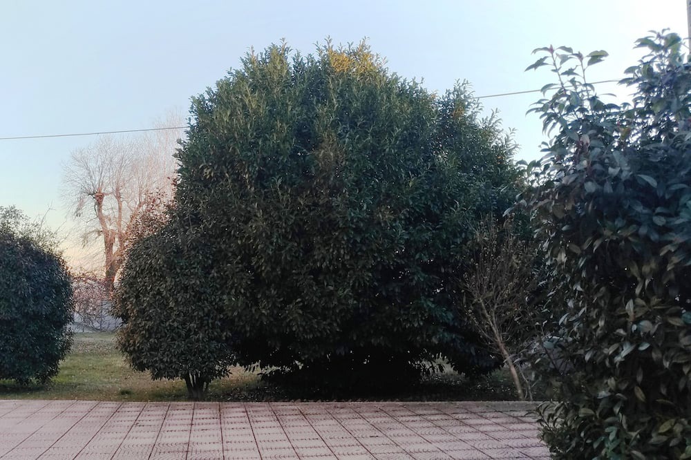 Photo of Outdoor in Pasta