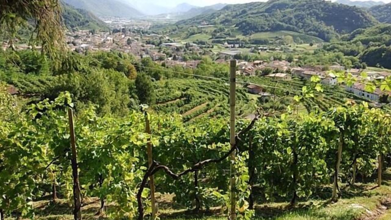 Photo of Outdoor in Miane