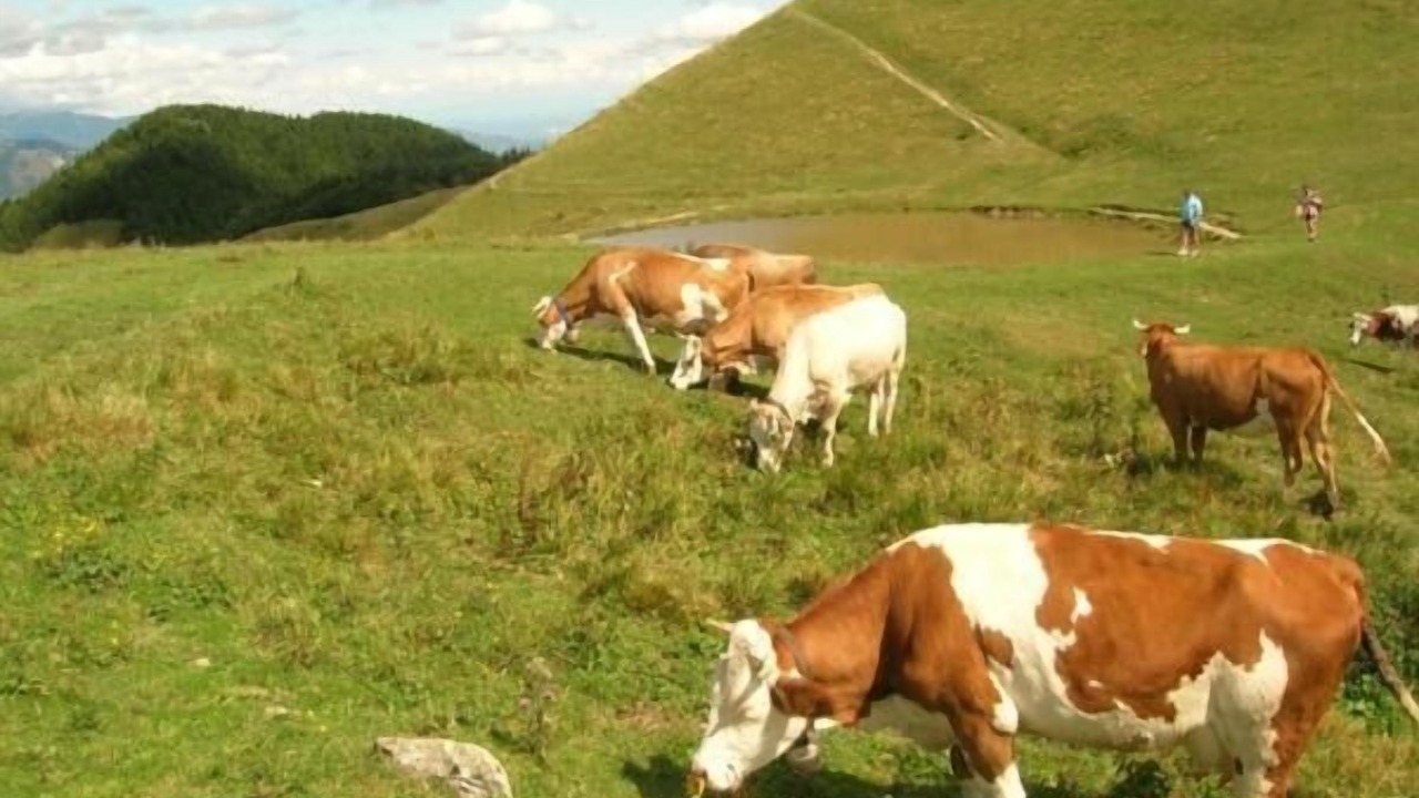 Photo of Outdoor in Miane