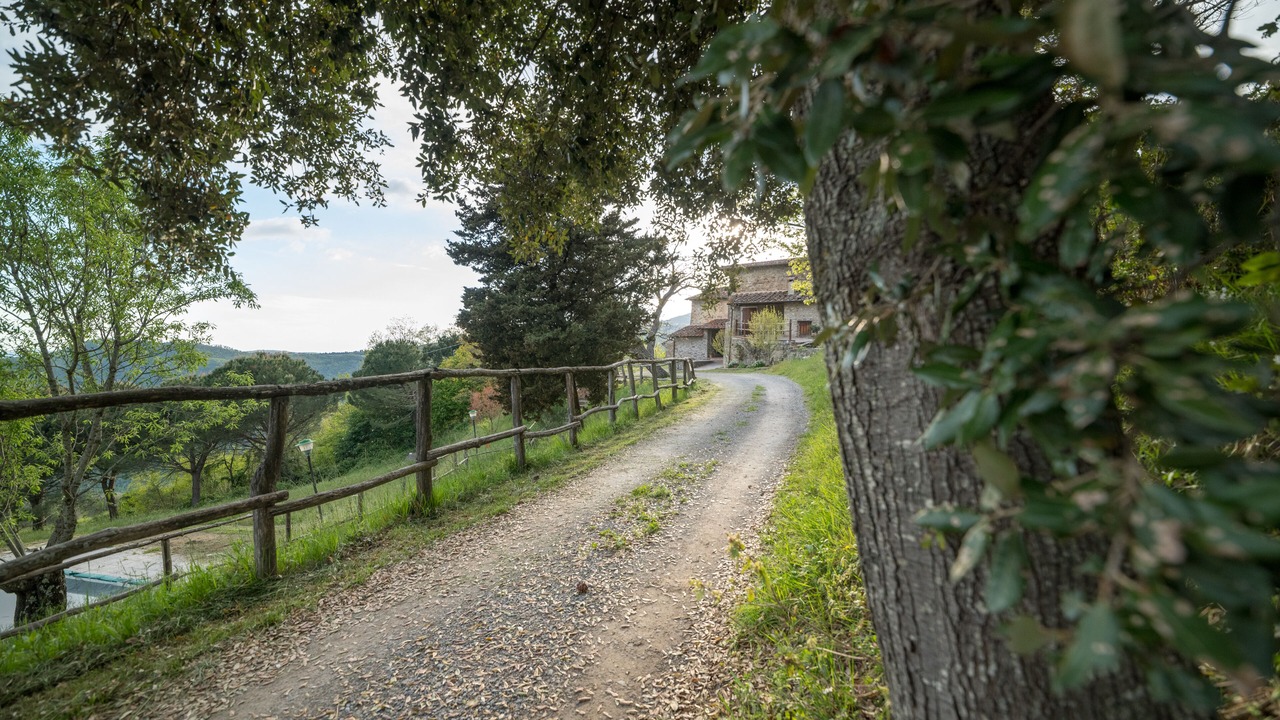 Photo of Outdoor in Pontassieve
