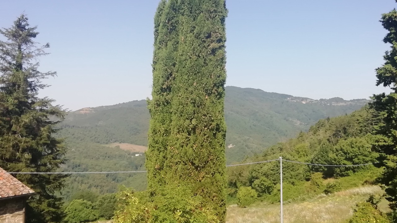 Photo of Others in Pontassieve