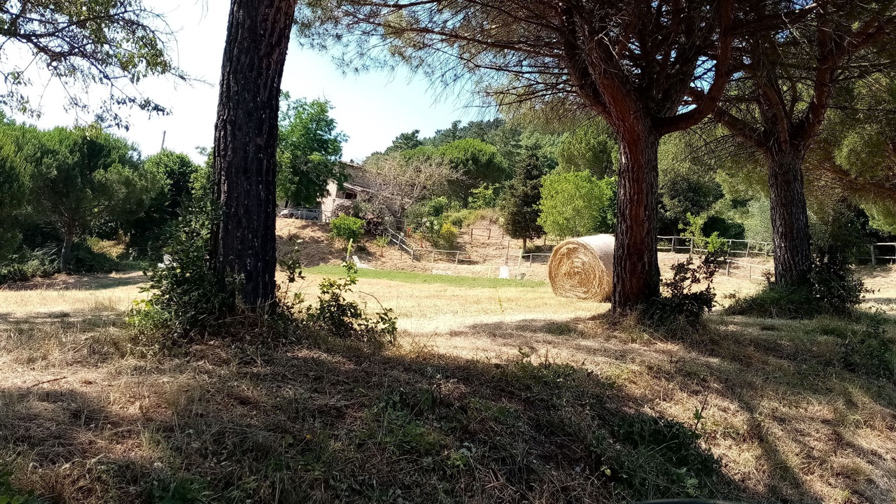 Photo of Outdoor in Pontassieve