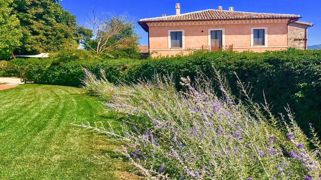 Photo of Outdoor in San Brizio