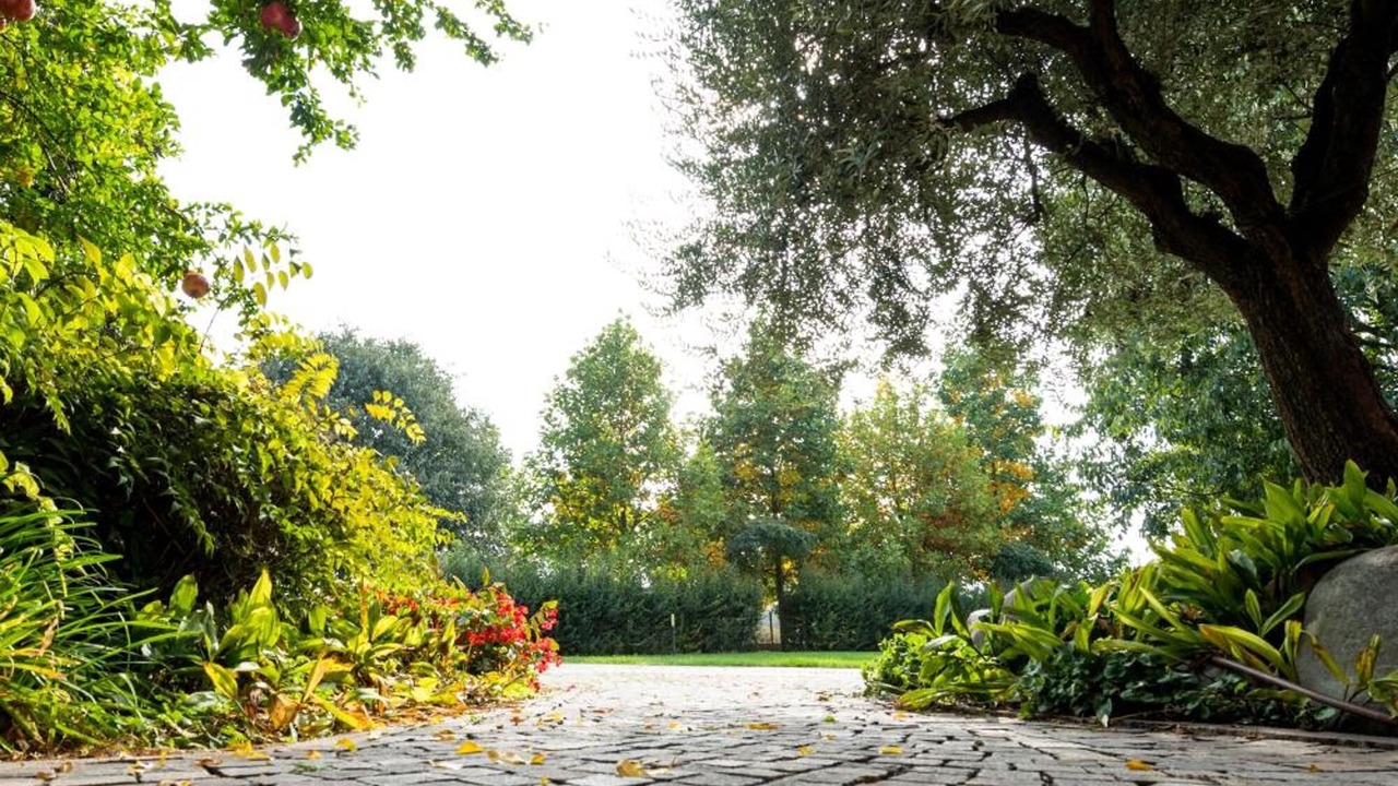Photo of Outdoor in Bagnolo Mella