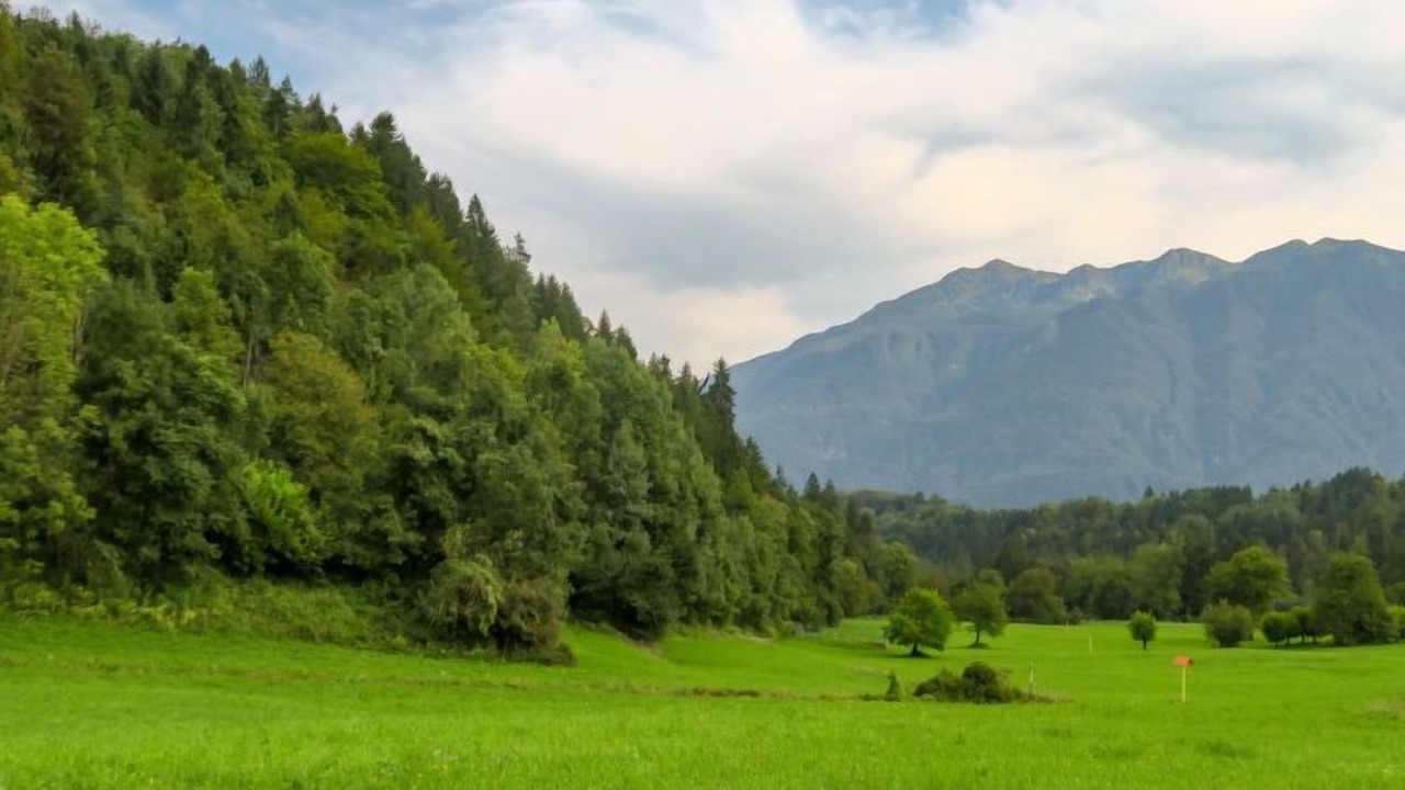 Photo of Outdoor in Raveo