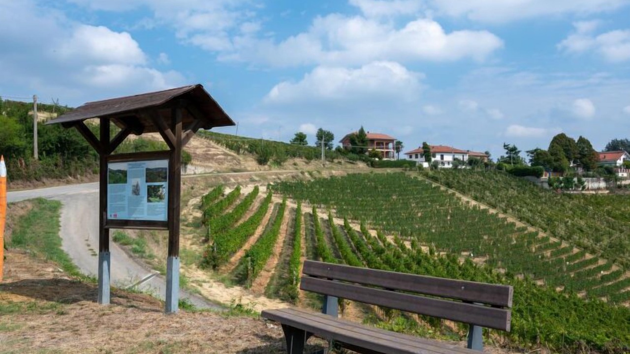 Photo of Outdoor in Vinchio