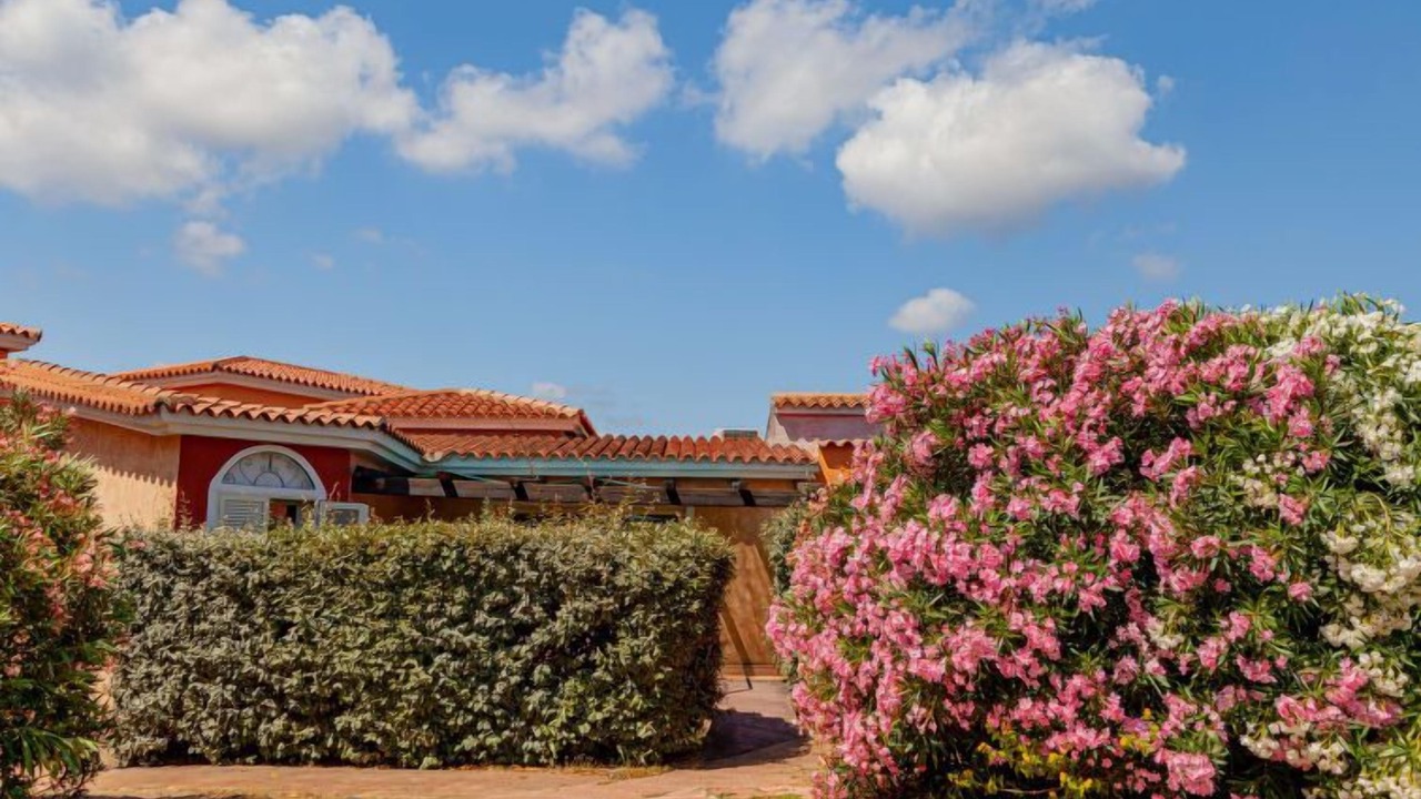 Photo of Buildings in Tiriddo