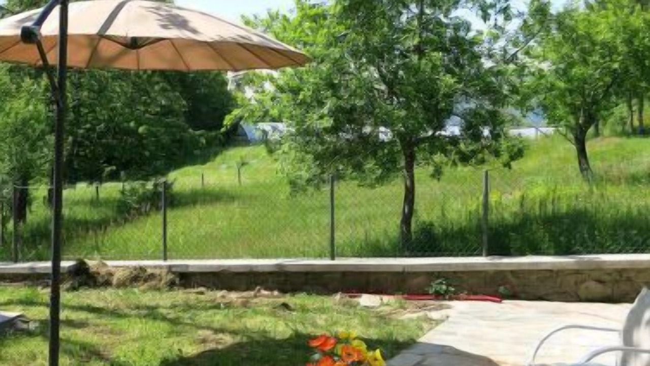 Photo of Outdoor in Sillano