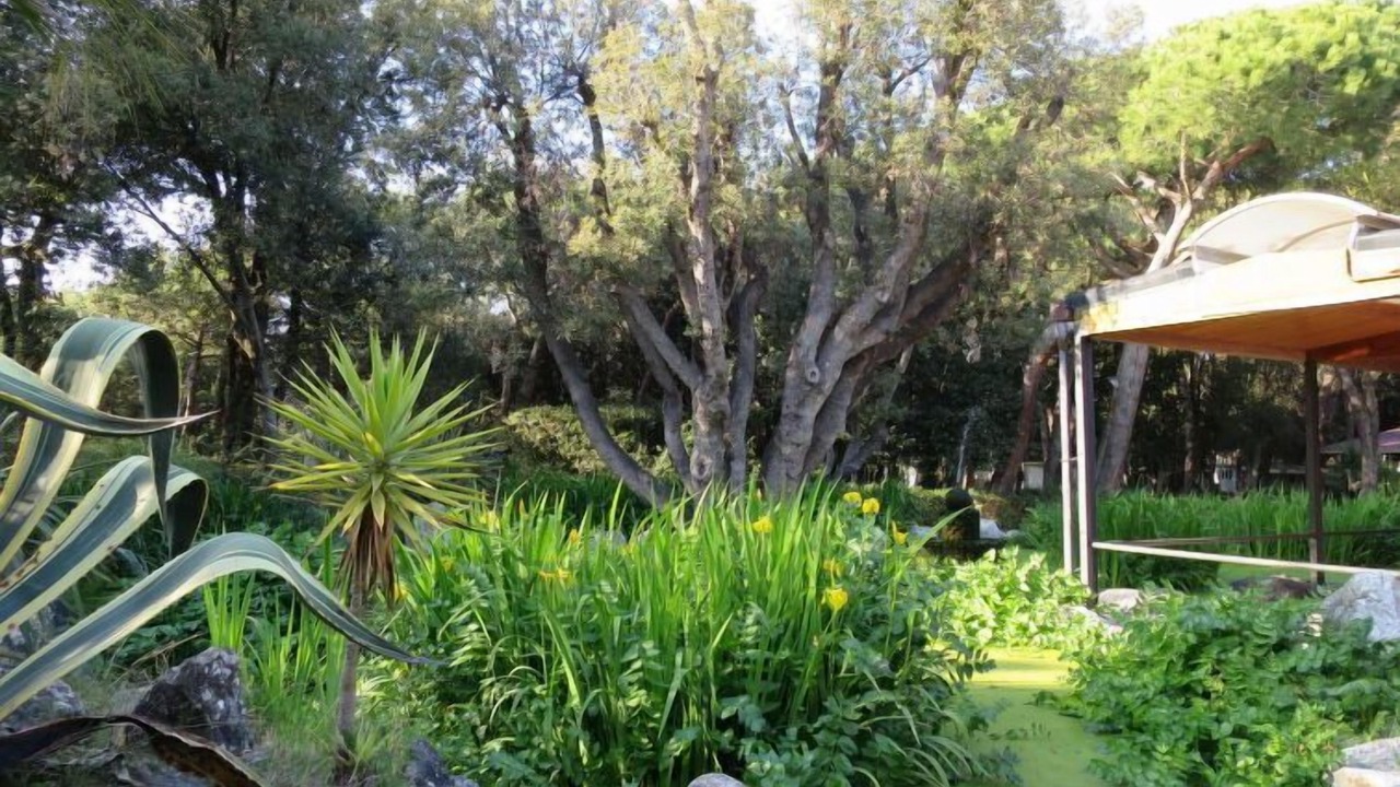 Photo of Outdoor in Baia Domizia
