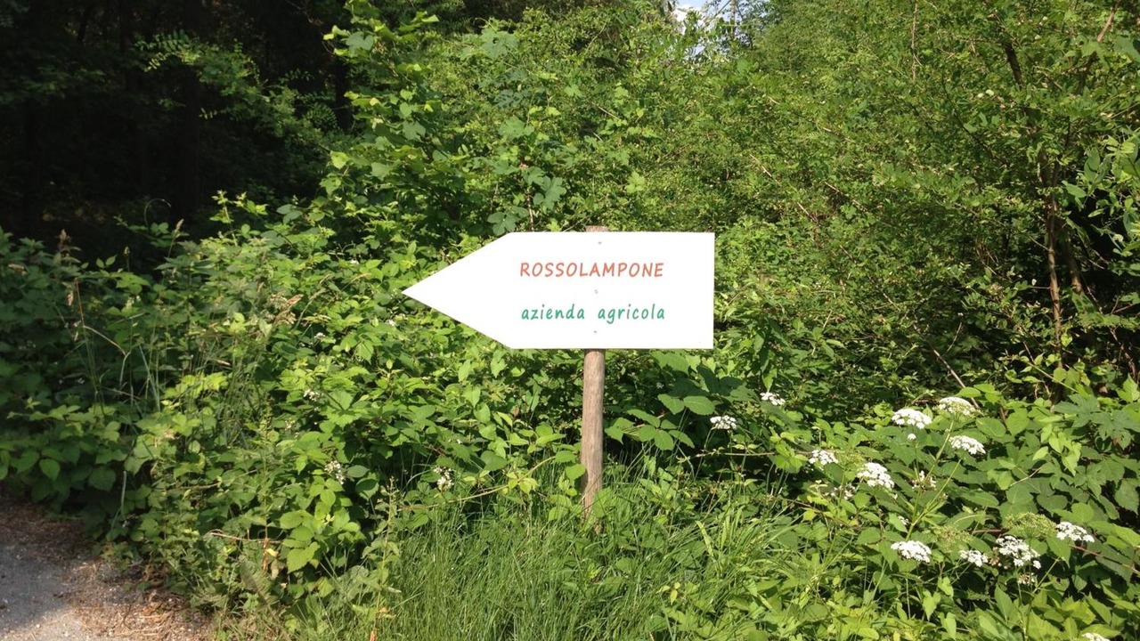 Photo of Outdoor in Mergozzo