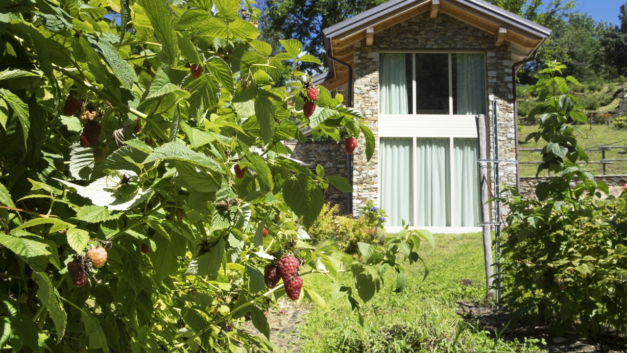 Photo of Outdoor in Mergozzo