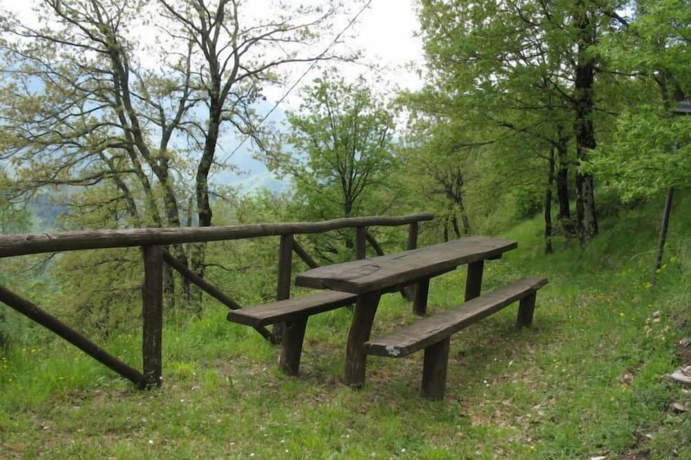 Photo of Outdoor in Molazzana