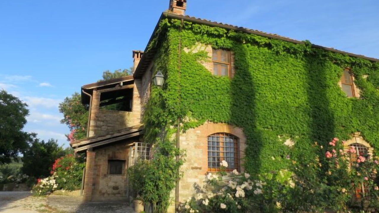Photo of Outdoor in San Venanzo