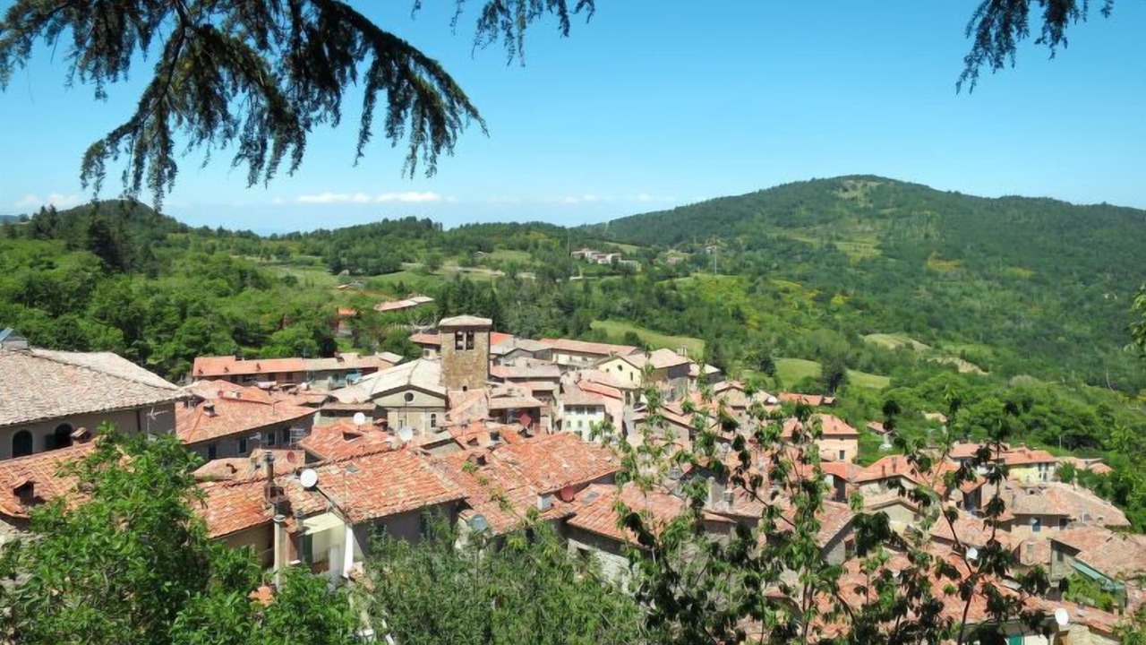 Photo of Outdoor in Montieri