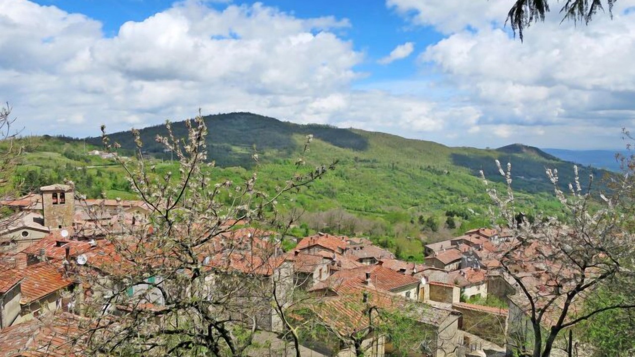 Photo of Outdoor in Montieri