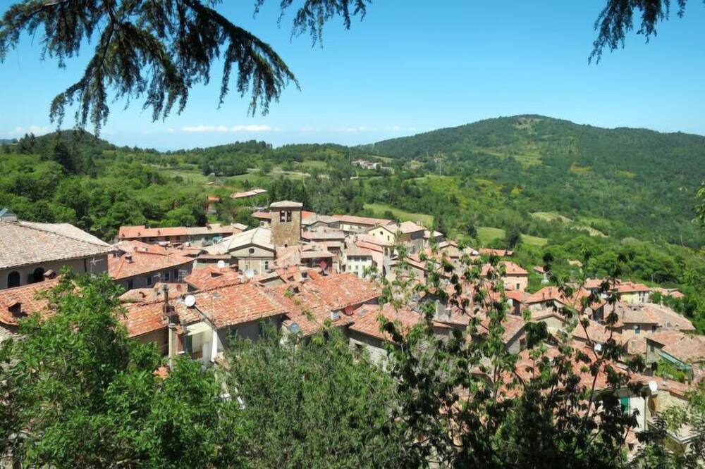 Photo of Outdoor in Montieri