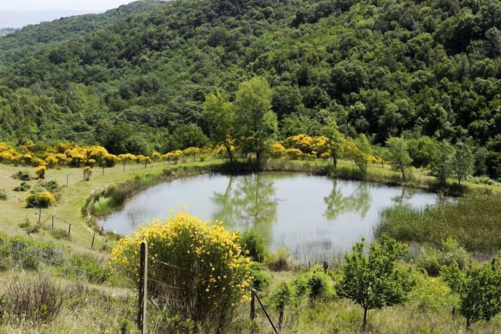 Photo of Outdoor in Gambassi Terme