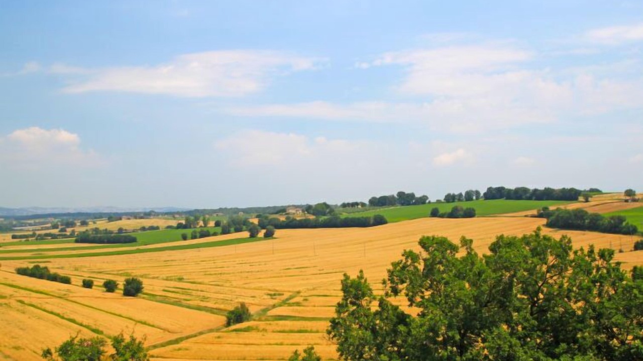 Photo of Others in Castiglione della Valle