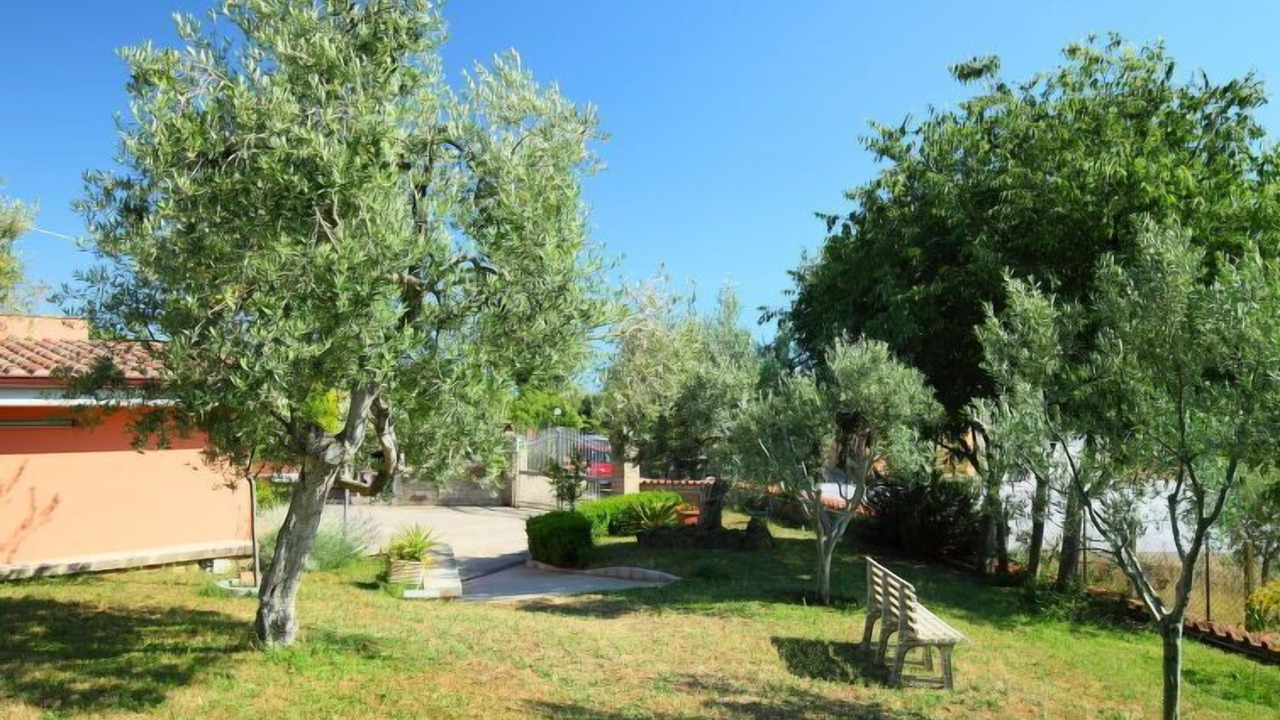 Photo of Outdoor in Marsango