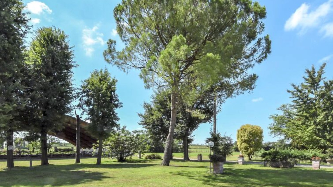 Photo of Others in Ariano nel Polesine