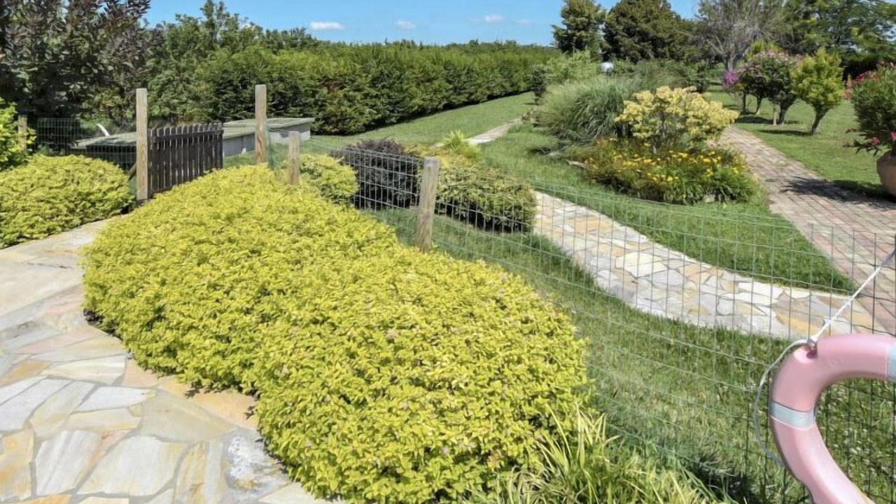 Photo of Outdoor in Ariano nel Polesine