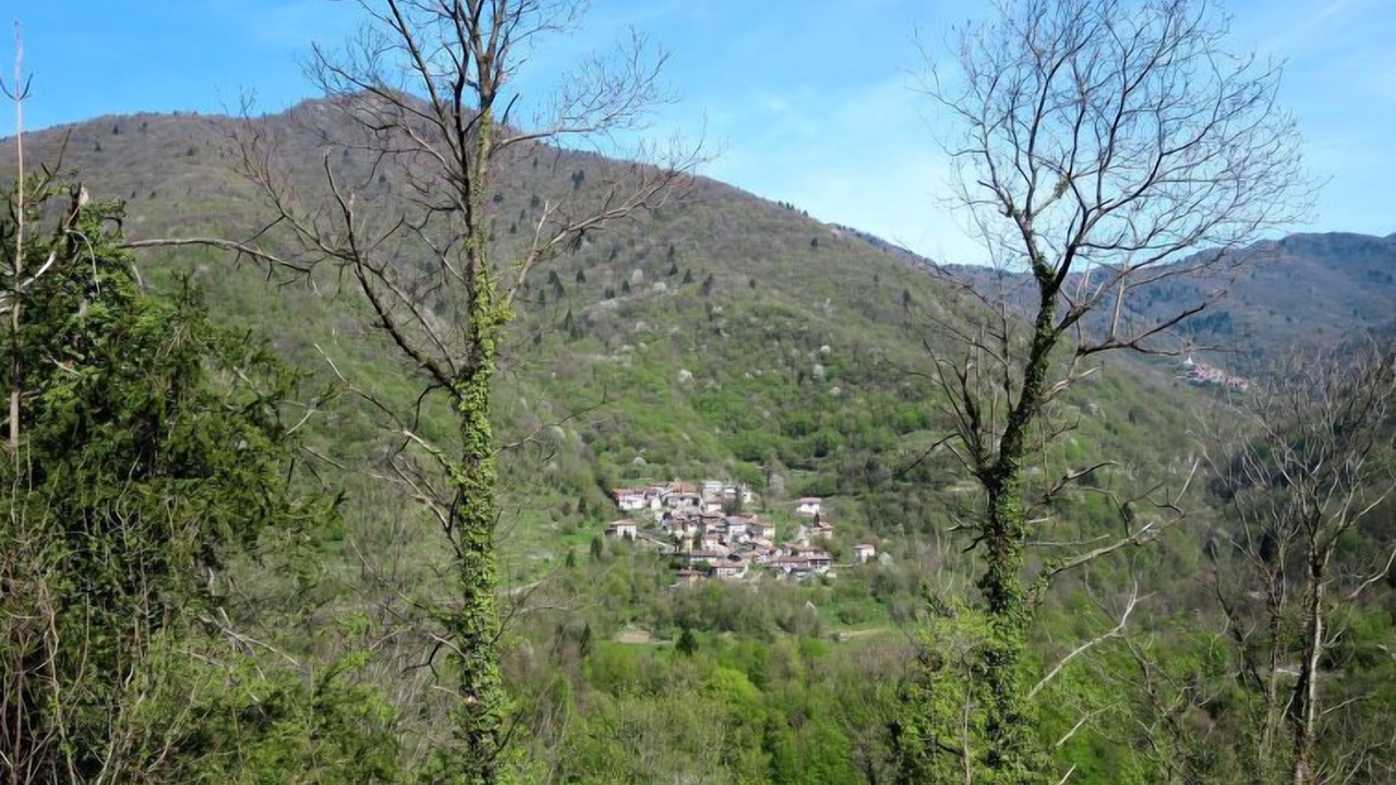 Photo of Outdoor in Grimacco