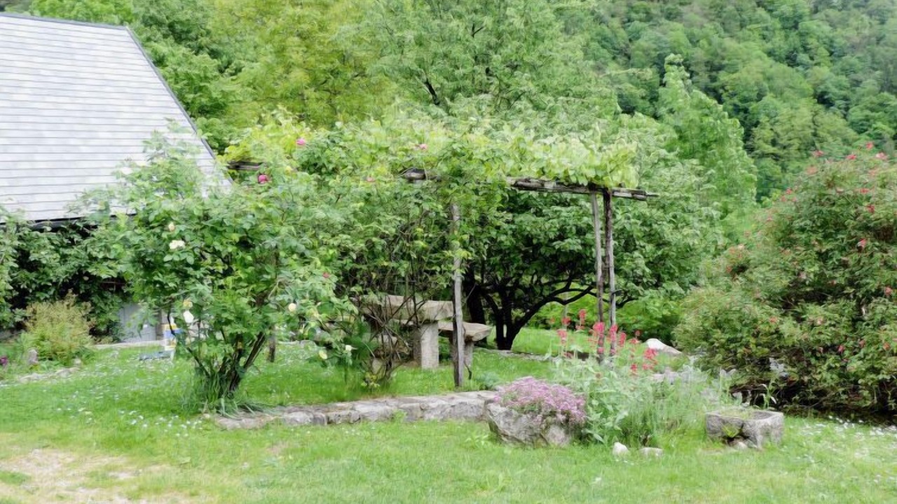 Photo of Outdoor in Grimacco