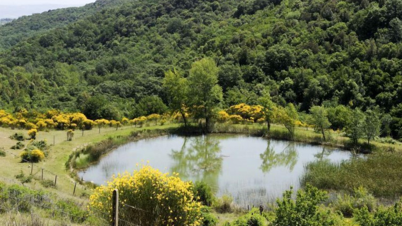 Photo of Outdoor in Gambassi Terme