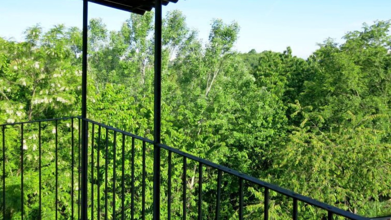 Photo of Outdoor in Rocca D'Arazzo