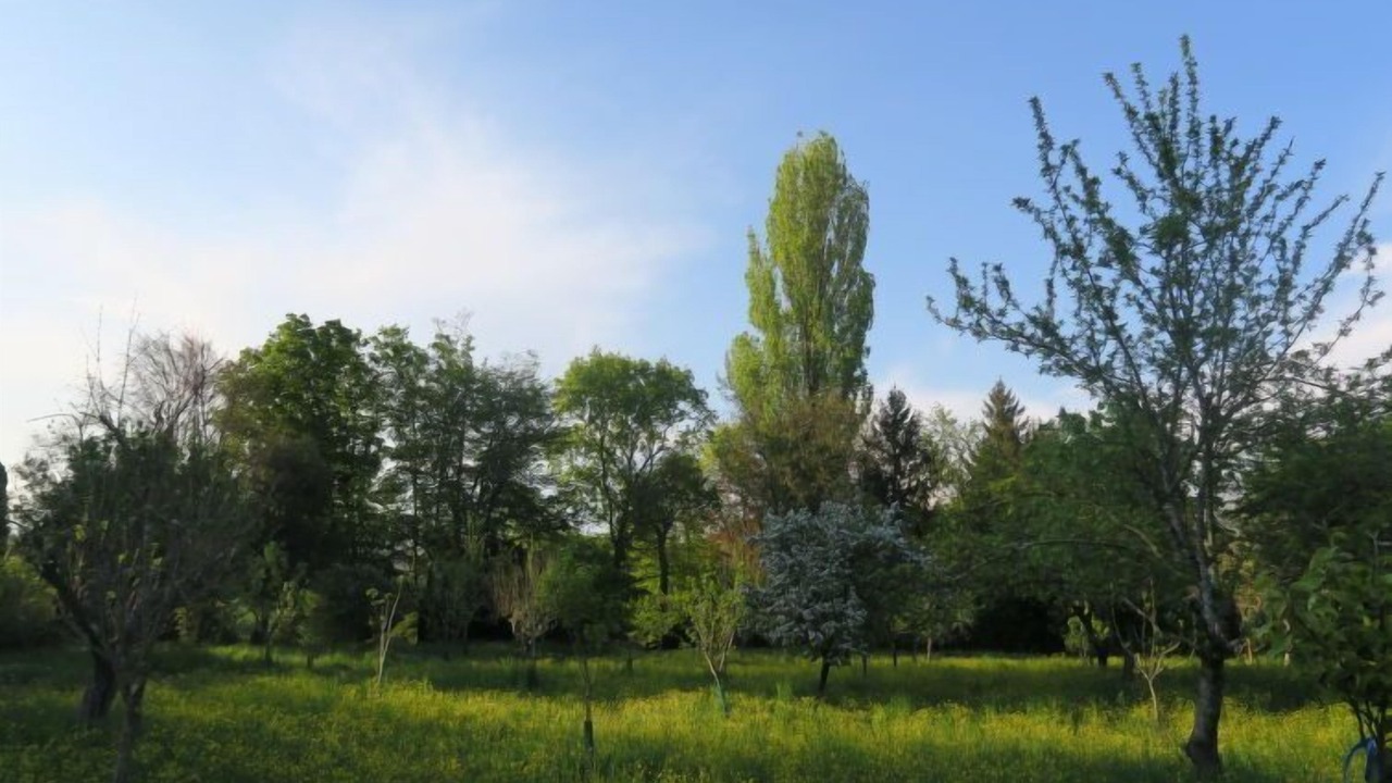 Photo of Outdoor in Strassoldo