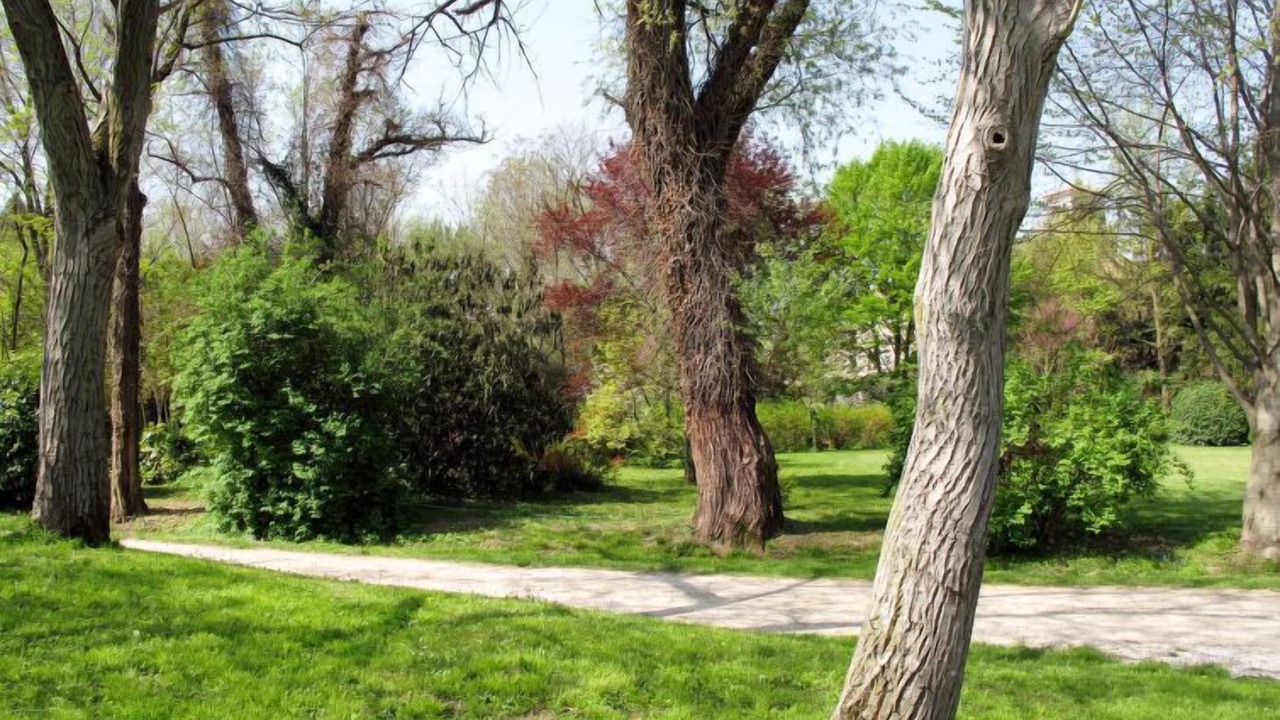 Photo of Outdoor in Strassoldo