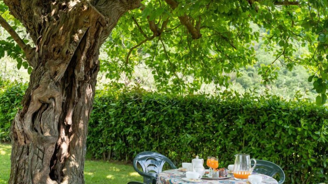 Photo of Outdoor in Dicomano