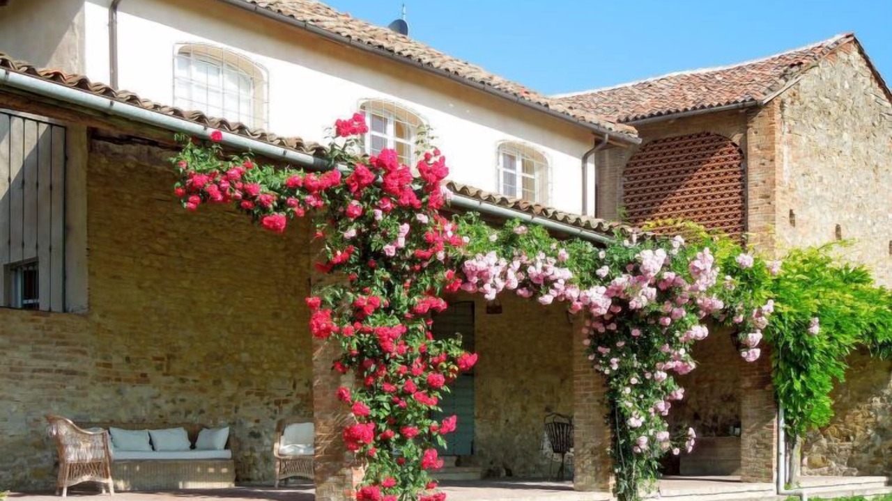 Photo of Outdoor in Sanico