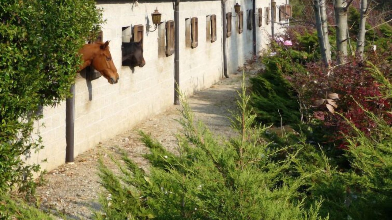 Photo of Outdoor in Zubiena