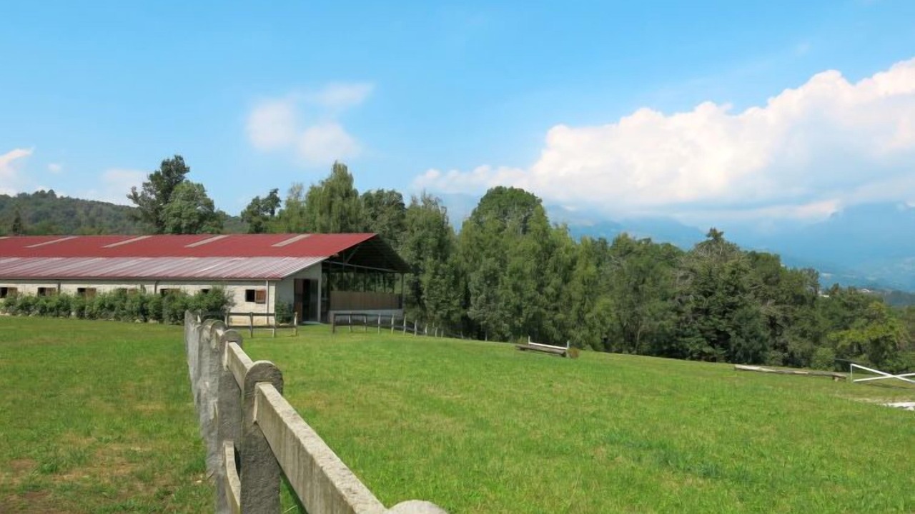 Photo of Outdoor in Zubiena