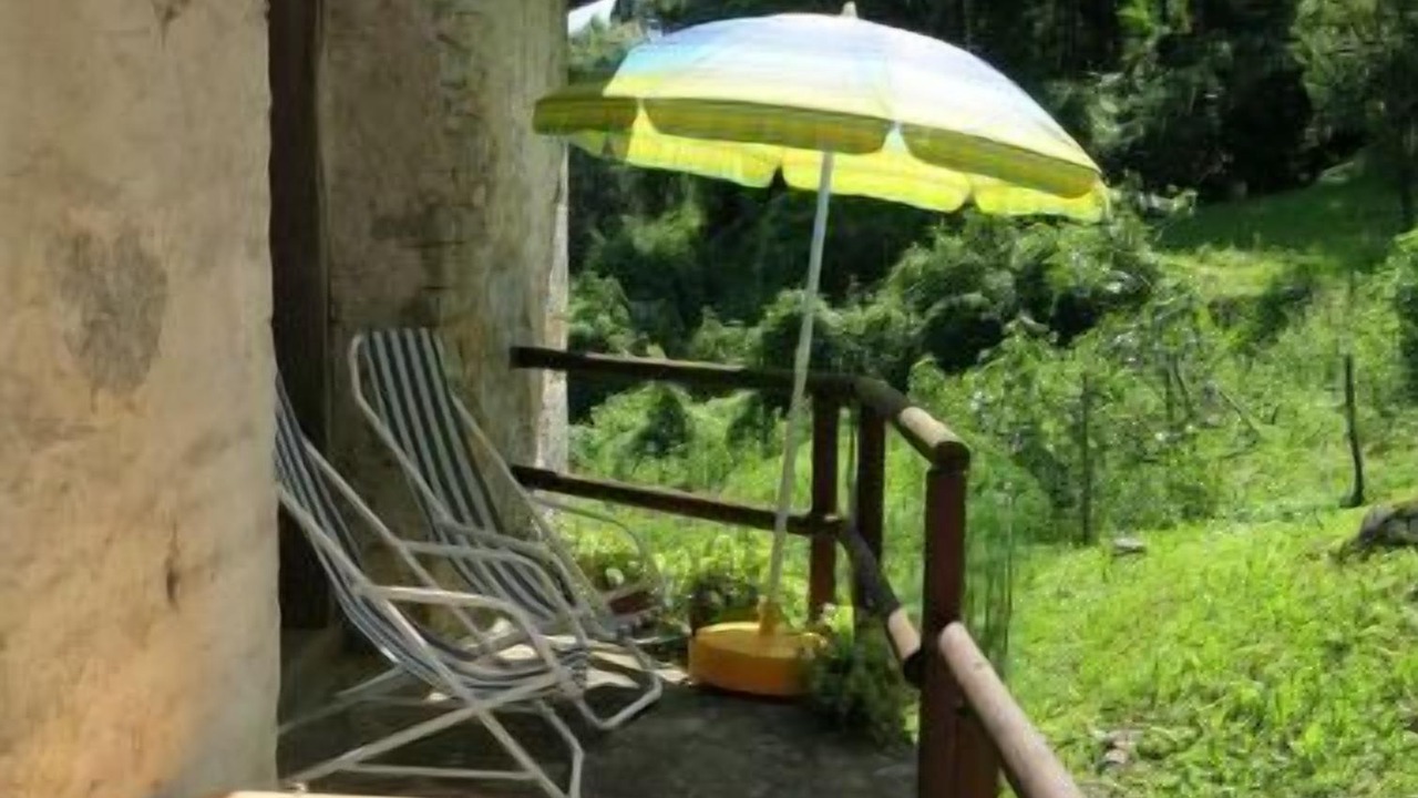 Photo of Outdoor in Cepletischis