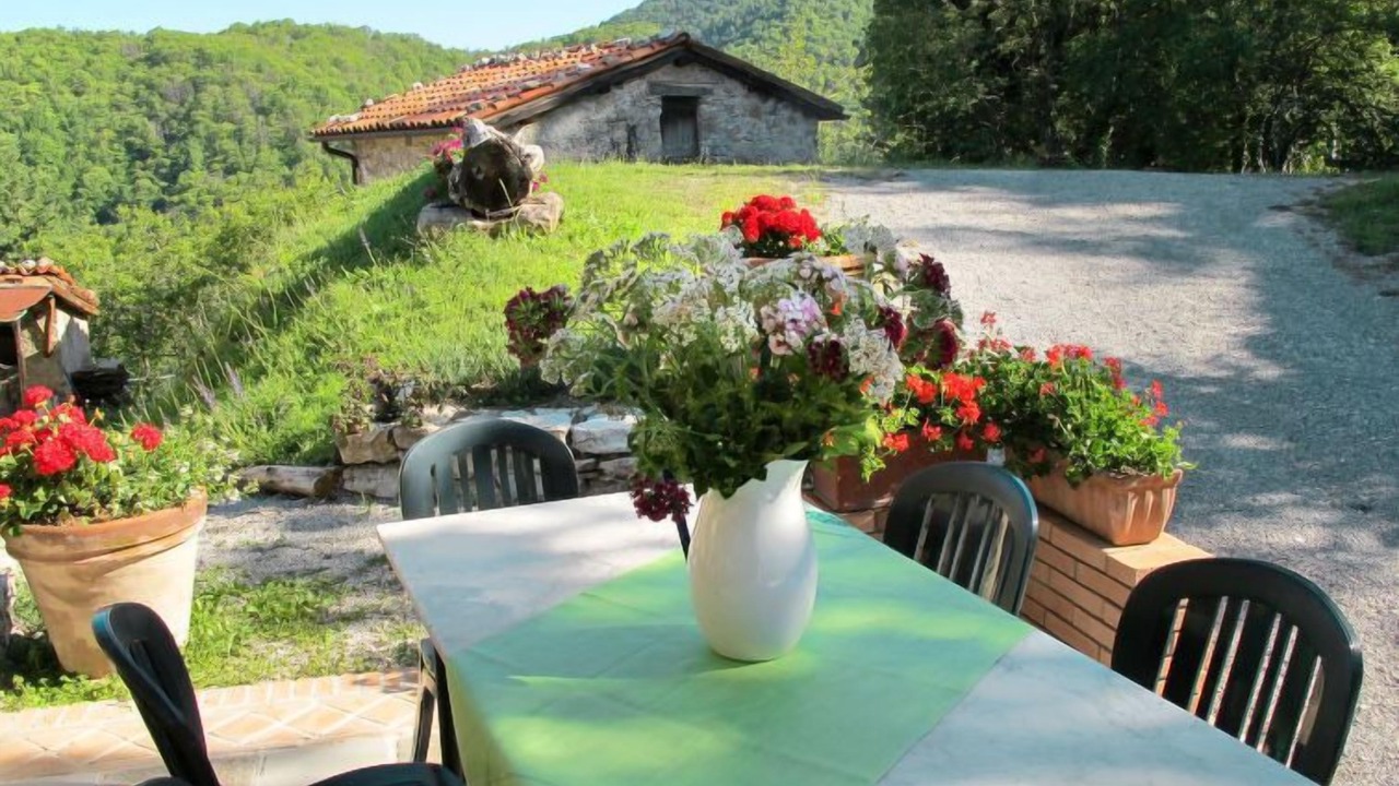Photo of Outdoor in Molazzana