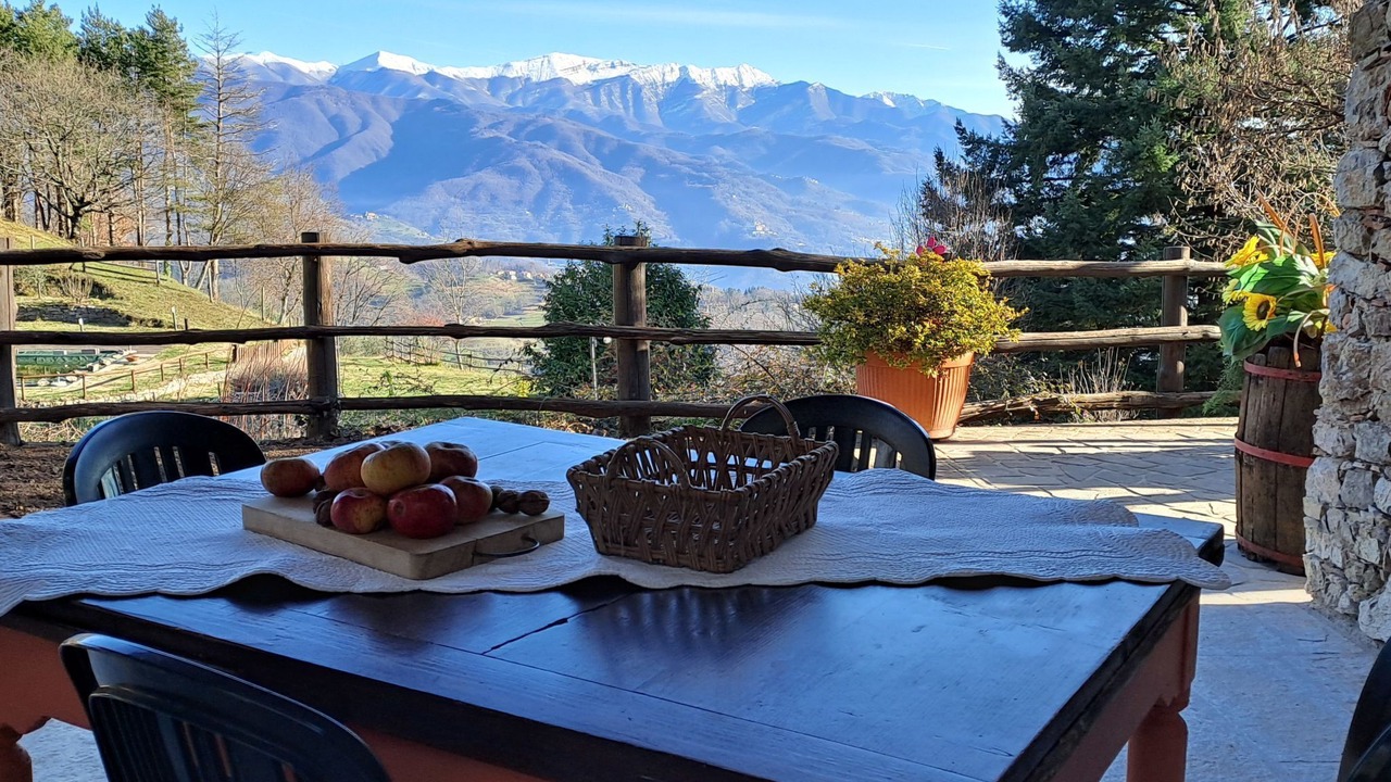 Photo of Outdoor in Molazzana