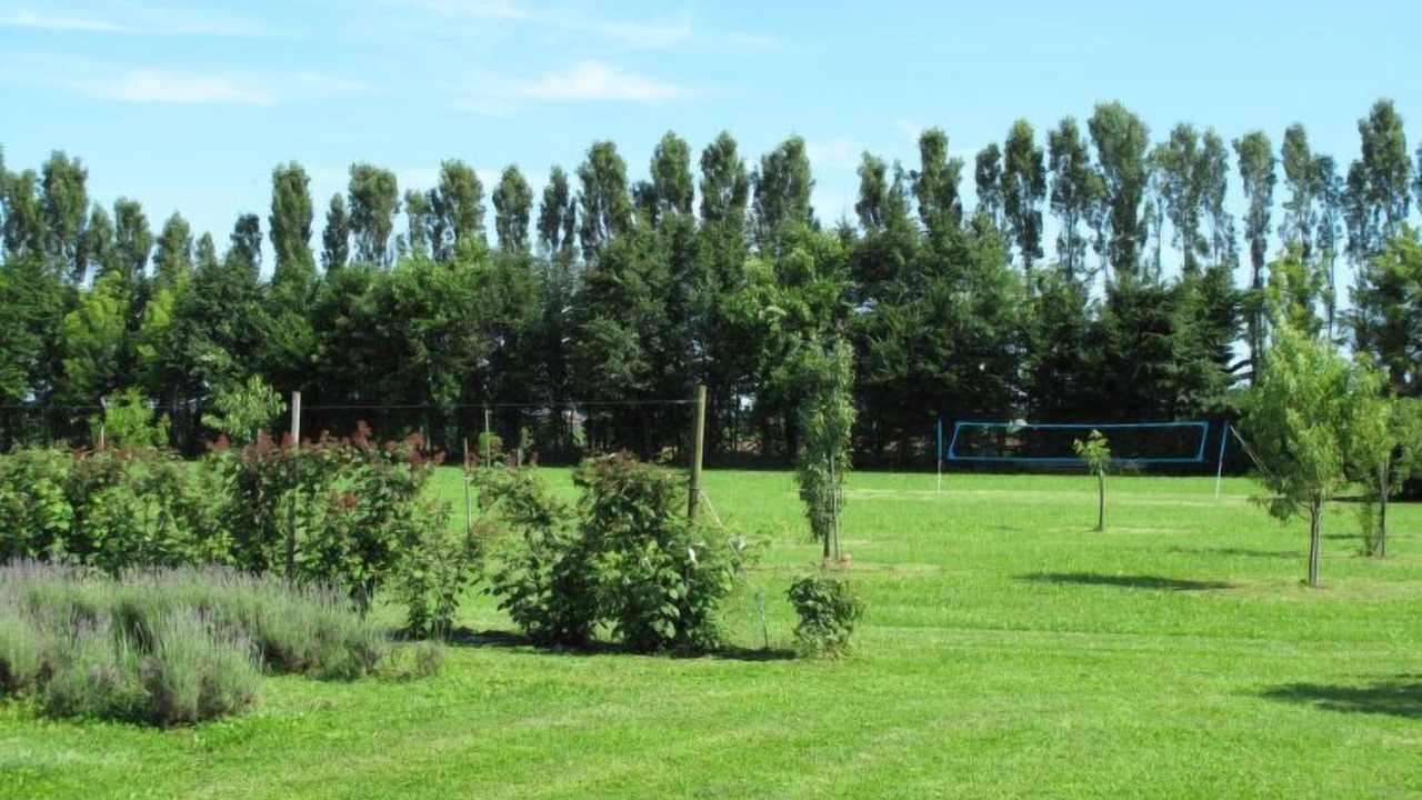 Photo of Others in Belvedere