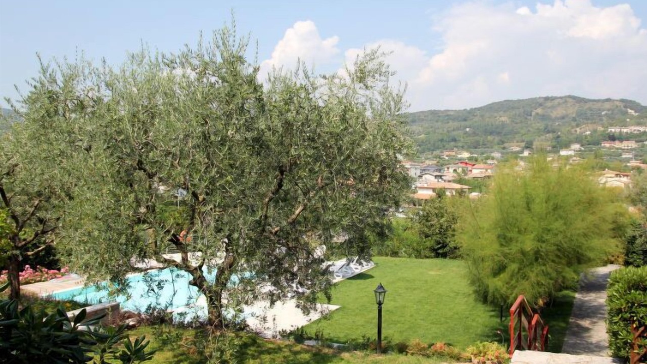 Photo of Outdoor in Garda
